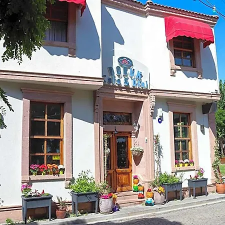 Doruk Ayvalı